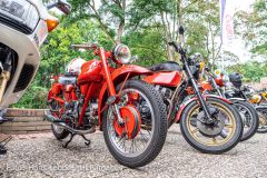 IMG_5051.jpg