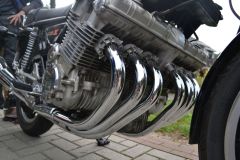 DSC_0613.JPG