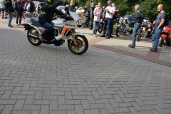 DSC_3112.JPG