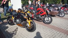 IMG_20250906_105713_374.jpg
