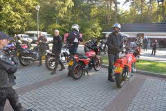DSC_3295.JPG