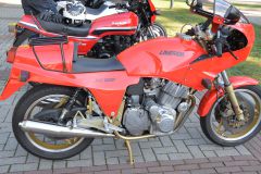 DSC_3296.JPG