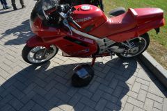 DSC_3376.JPG
