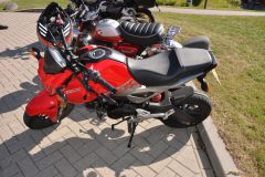 DSC_3377.JPG